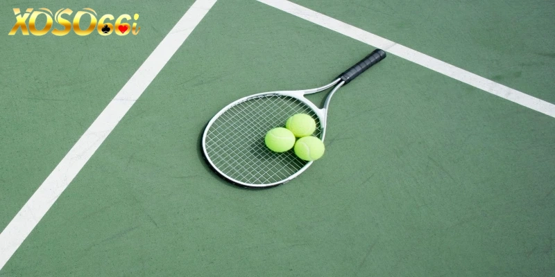 Cá cược tennis siêu hấp dẫn