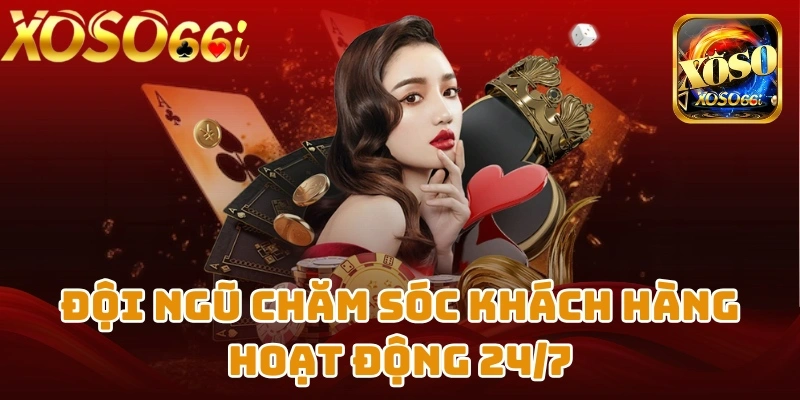 Đội ngũ chăm sóc khách hàng hoạt động 24/7 để hỗ trợ kịp thời